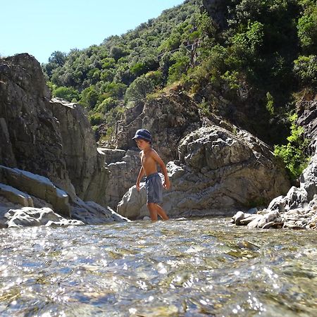 La Frigoule, Un Gite Au Coeur Du Parc Des Cevennes Generargues Ngoại thất bức ảnh