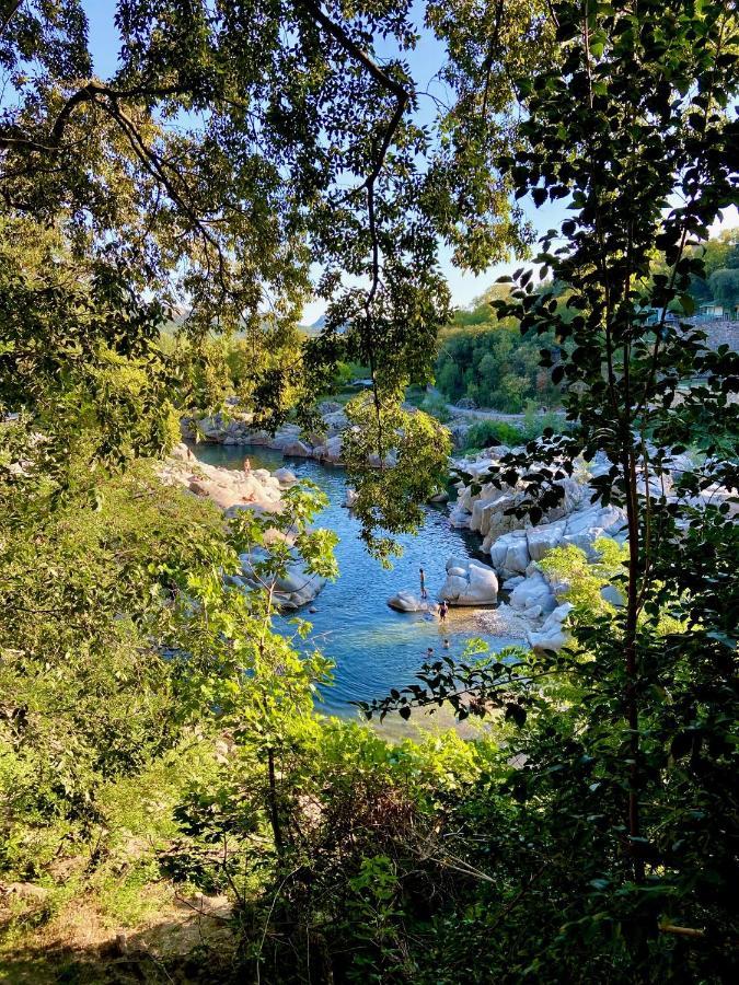 La Frigoule, Un Gite Au Coeur Du Parc Des Cevennes Generargues Ngoại thất bức ảnh