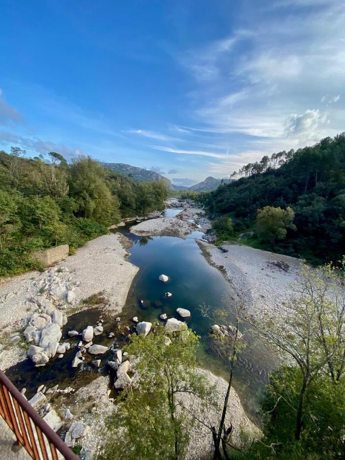 La Frigoule, Un Gite Au Coeur Du Parc Des Cevennes Generargues Ngoại thất bức ảnh