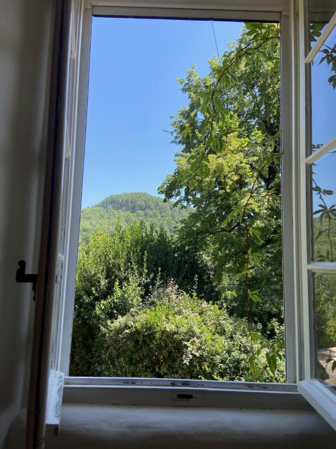 La Frigoule, Un Gite Au Coeur Du Parc Des Cevennes Generargues Ngoại thất bức ảnh