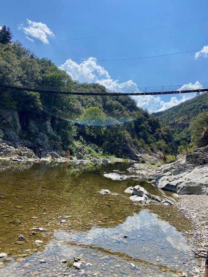 La Frigoule, Un Gite Au Coeur Du Parc Des Cevennes Generargues Ngoại thất bức ảnh