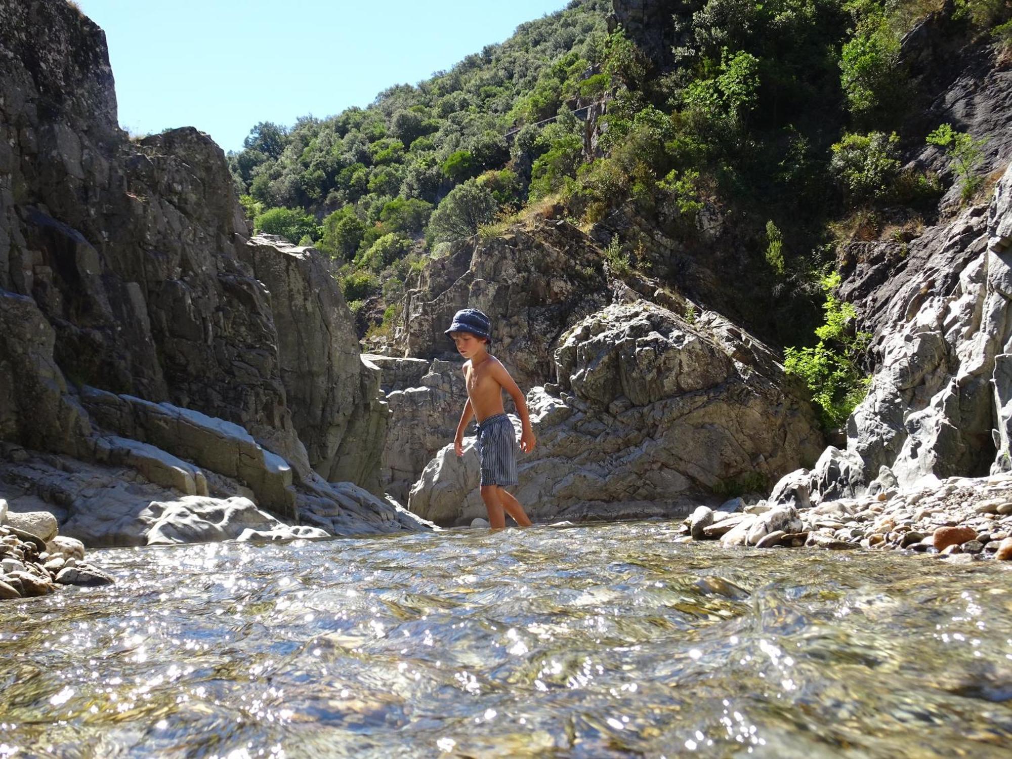 La Frigoule, Un Gite Au Coeur Du Parc Des Cevennes Generargues Ngoại thất bức ảnh